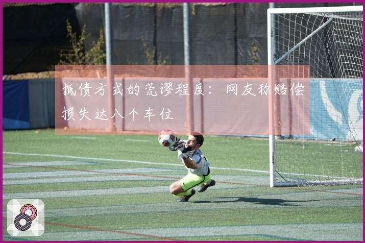 抵债方式的荒谬程度：网友称赔偿损失达八个车位