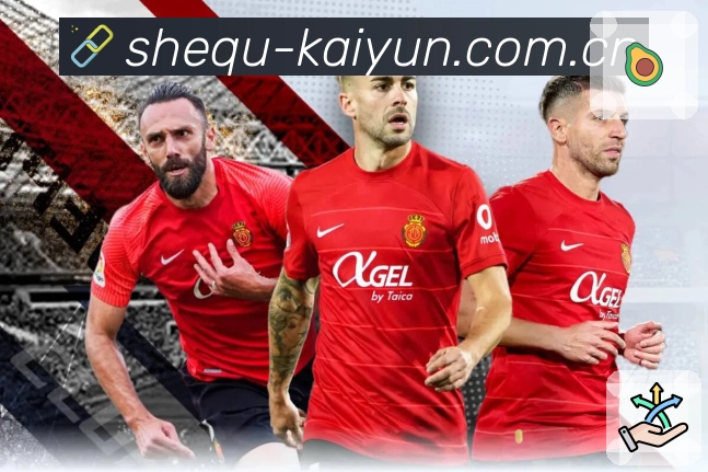 我们的使命与愿景